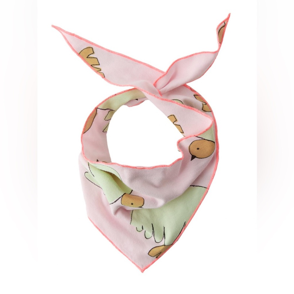 Pink and Green Bird Print Bandana